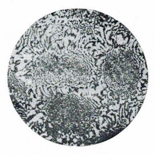 標(biāo)準(zhǔn)金相 Pb-Sn兩元合金相圖試樣【教學(xué)實驗用】